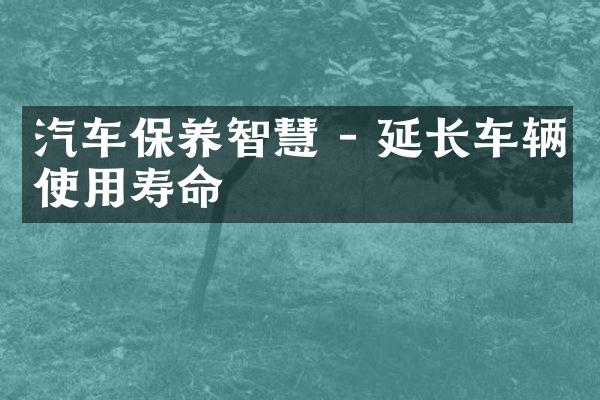 汽车保养智慧 - 延长车辆使用寿命