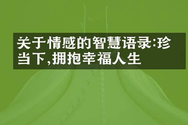 关于情感的智慧语录:珍惜当下,拥抱幸福人生