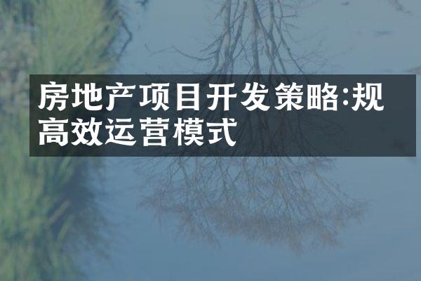 房地产项目开发策略:规划高效运营模式