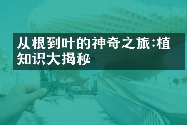 从根到叶的神奇之旅:植物知识大揭秘