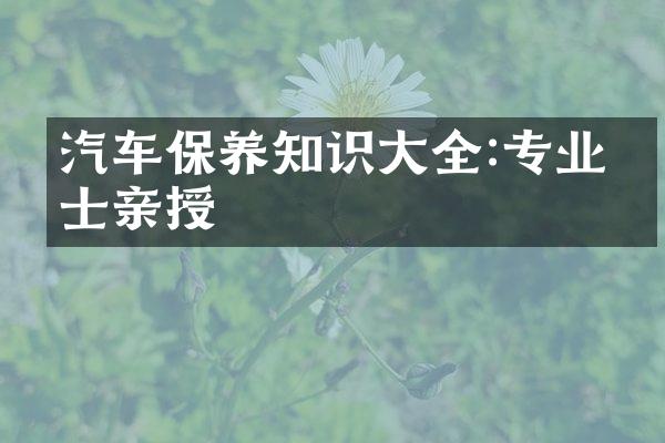 汽车保养知识大全:专业人士亲授