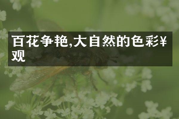 百花争艳,大自然的色彩奇观