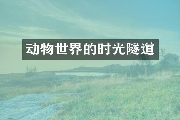 动物世界的时光隧道