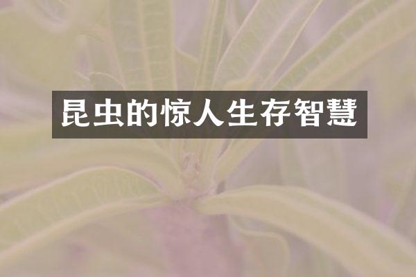 昆虫的惊人生存智慧