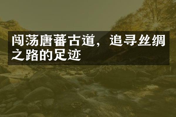 闯荡唐蕃古道，追寻丝绸之路的足迹
