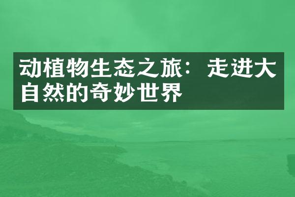 动植物生态之旅：走进大自然的奇妙世界