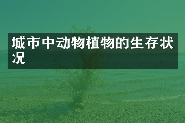 城市中动物植物的生存状况