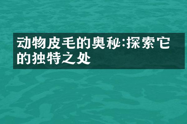 动物皮毛的奥秘:探索它们的独特之处