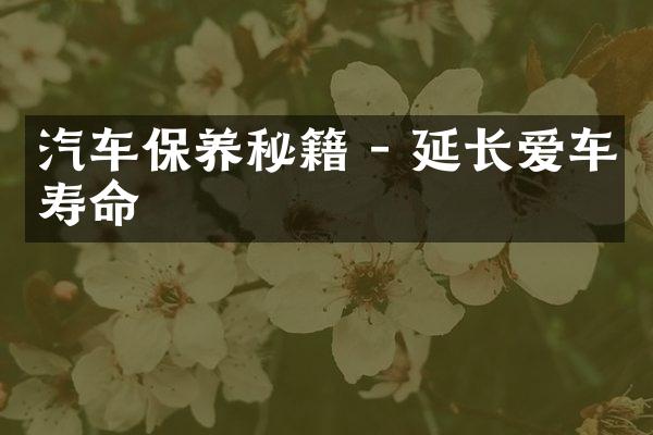 汽车保养秘籍 - 延长爱车寿命