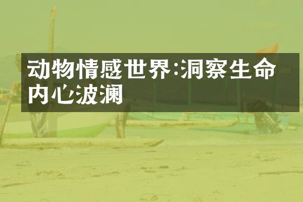 动物情感世界:洞察生命的内心波澜