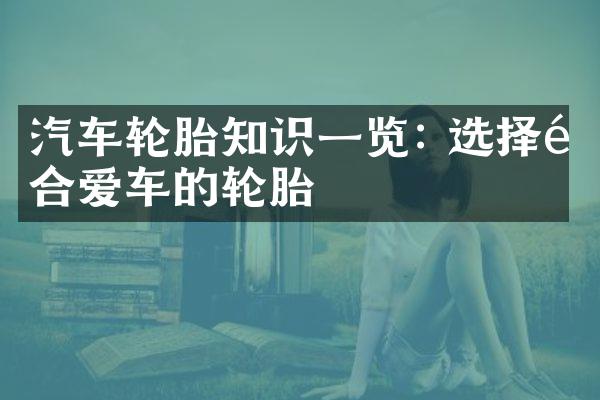 汽车轮胎知识一览: 选择适合爱车的轮胎