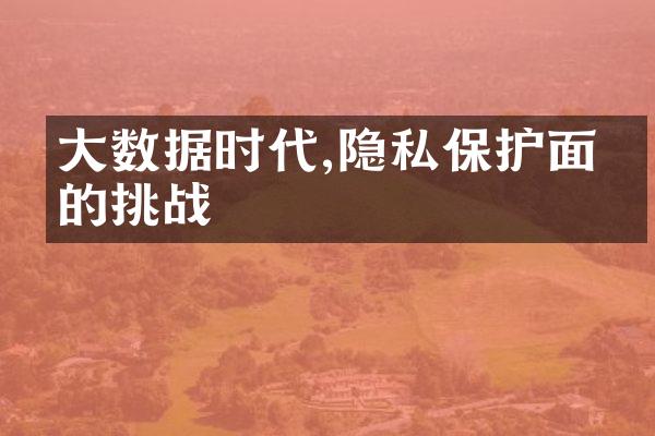 大数据时代,隐私保护面临的挑战