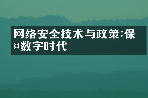 网络安全技术与政策:保护数字时代