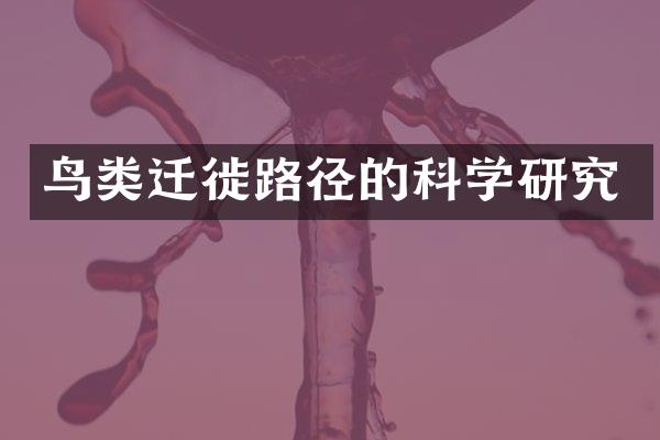 鸟类迁徙路径的科学研究