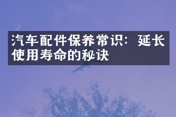 汽车配件保养常识：延长使用寿命的秘诀