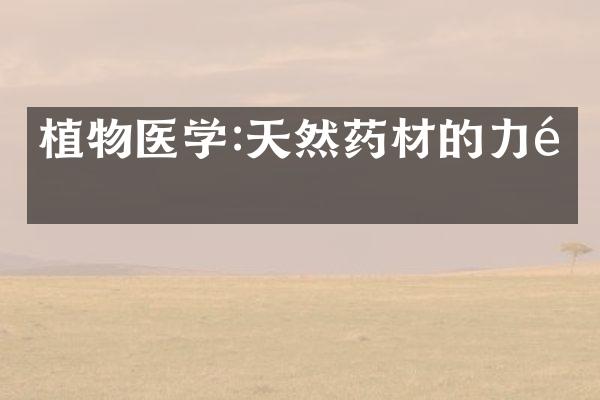 植物医学:天然药材的力量