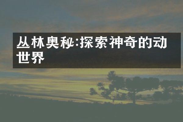 丛林奥秘:探索神奇的动物世界