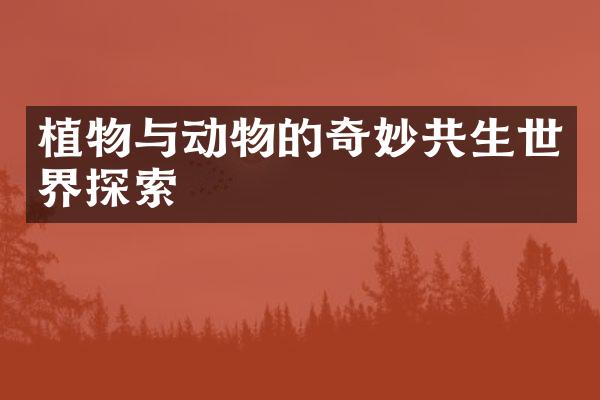 植物与动物的奇妙共生世界探索