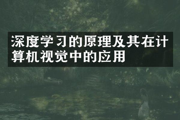 深度学习的原理及其在计算机视觉中的应用