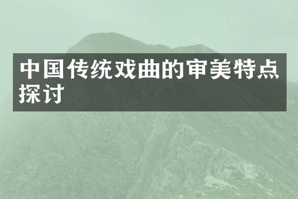 中国传统戏曲的审美特点探讨