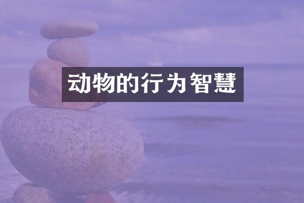 动物的行为智慧