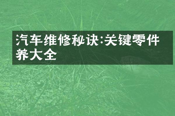 汽车维修秘诀:关键零件保养大全