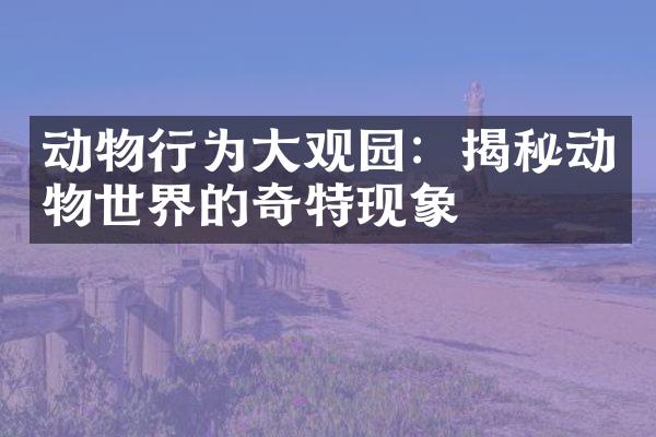 动物行为大观园：揭秘动物世界的奇特现象