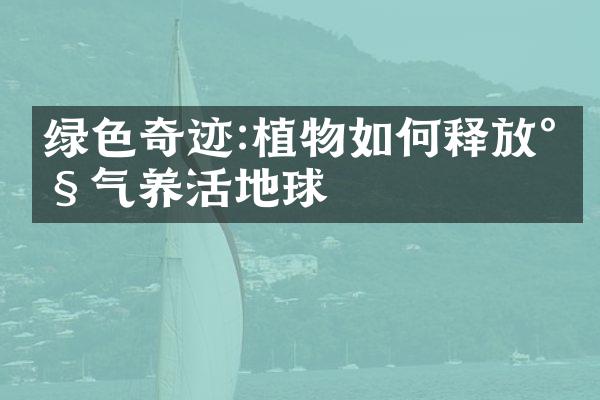 绿色奇迹:植物如何释放氧气养活地球