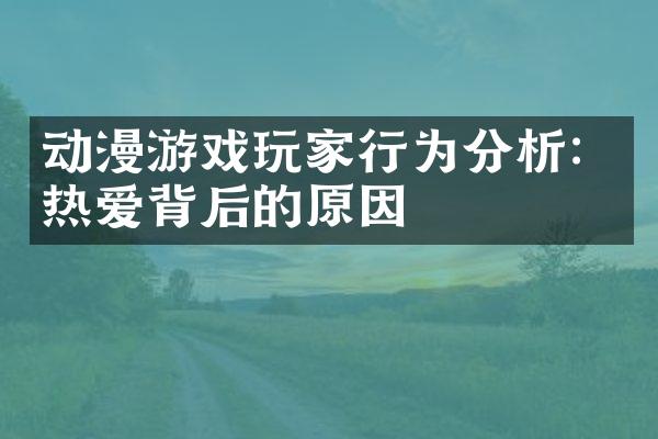 动漫游戏玩家行为分析：热爱背后的原因