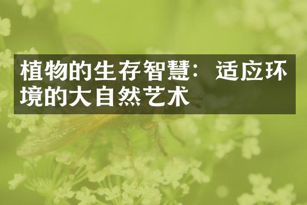 植物的生存智慧：适应环境的大自然艺术