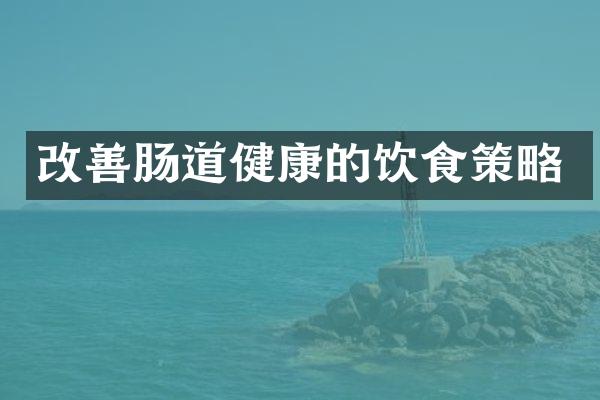 改善肠道健康的饮食策略