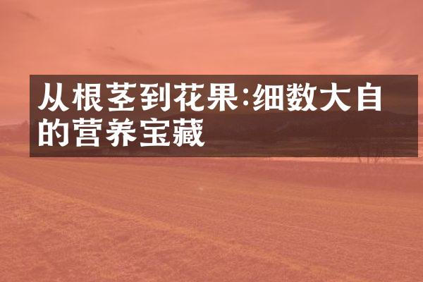 从根茎到花果:细数大自然的营养宝藏