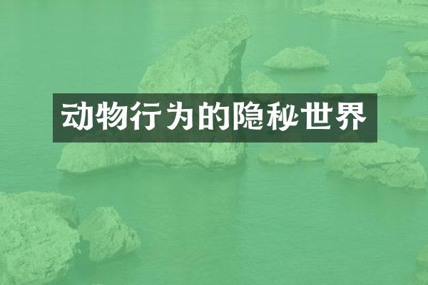 动物行为的隐秘世界