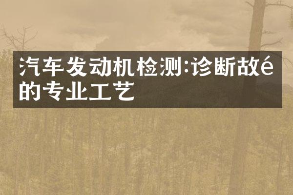 汽车发动机检测:诊断故障的专业工艺