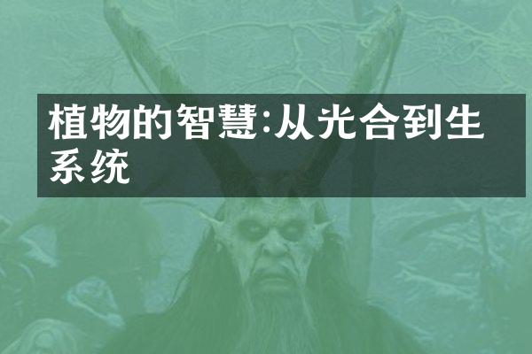 植物的智慧:从光合到生态系统
