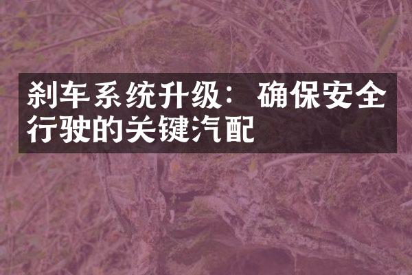刹车系统升级：确保安全行驶的关键汽配