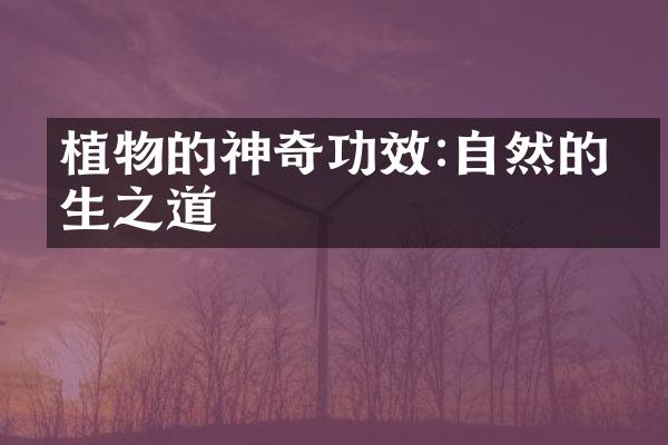 植物的神奇功效:自然的养生之道