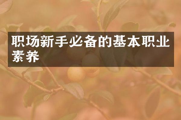 职场新手必备的基本职业素养