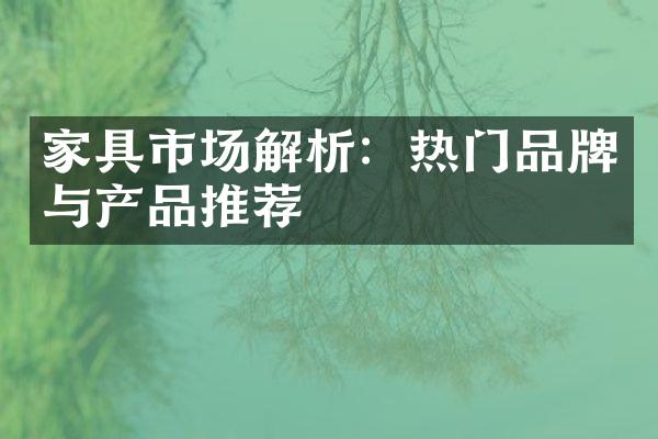 家具市场解析：热门品牌与产品推荐