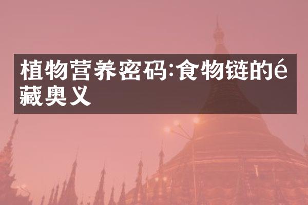 植物营养密码:食物链的隐藏奥义