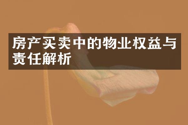 房产买卖中的物业权益与责任解析