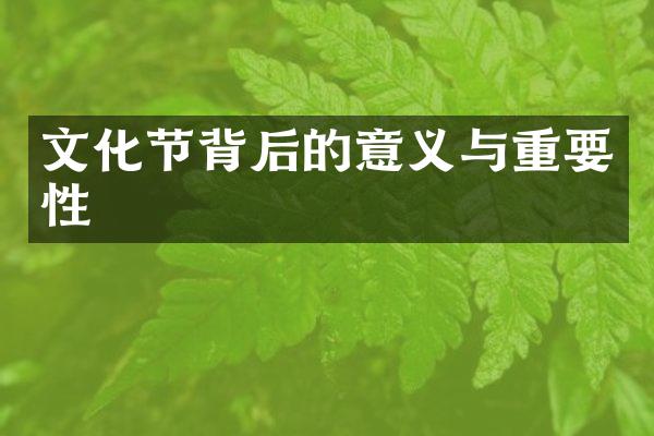 文化节背后的意义与重要性