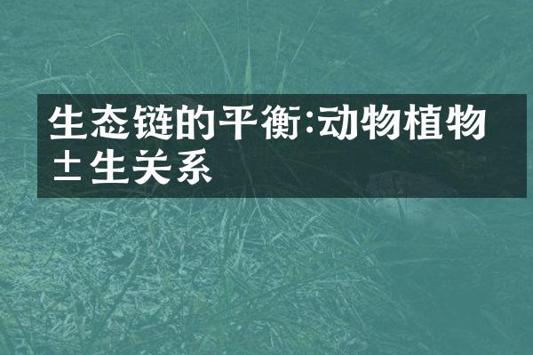 生态链的平衡:动物植物共生关系