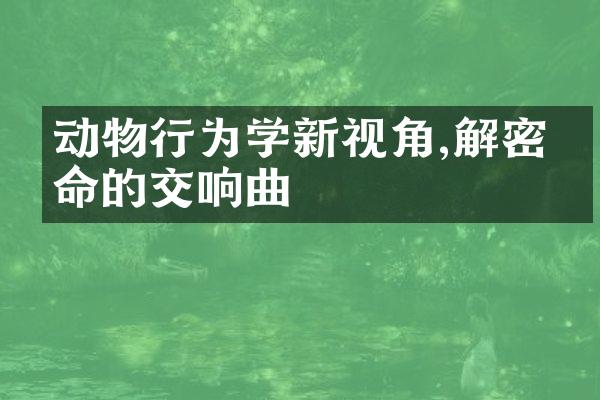动物行为学新视角,解密生命的交响曲