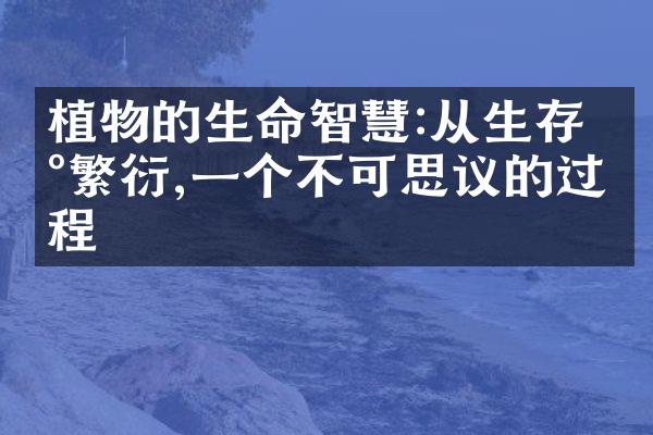 植物的生命智慧:从生存到繁衍,一个不可思议的过程