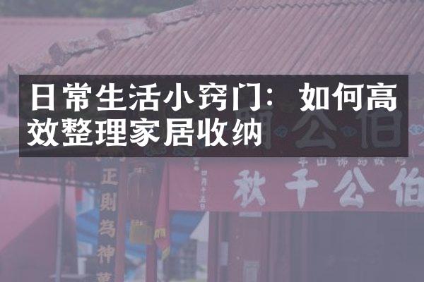 日常生活小窍门：如何高效整理家居收纳