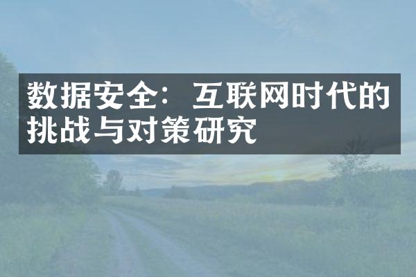 数据安全：互联网时代的挑战与对策研究