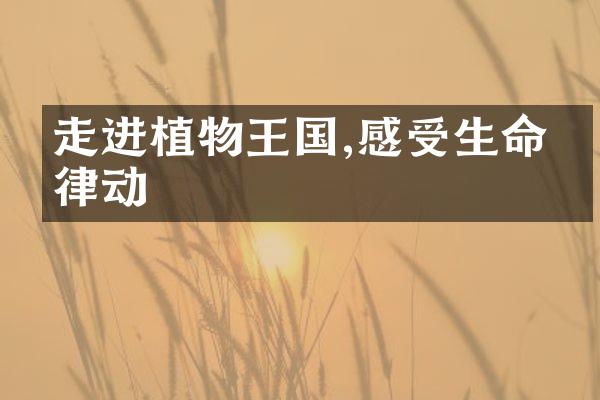 走进植物王国,感受生命的律动