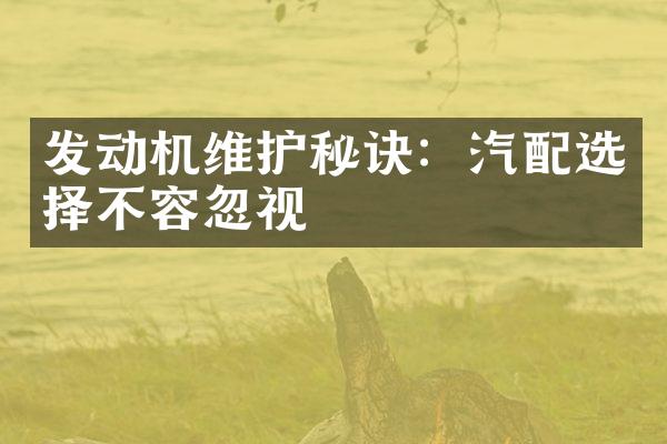 发动机维护秘诀：汽配选择不容忽视