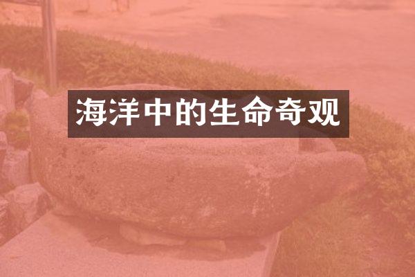 海洋中的生命奇观